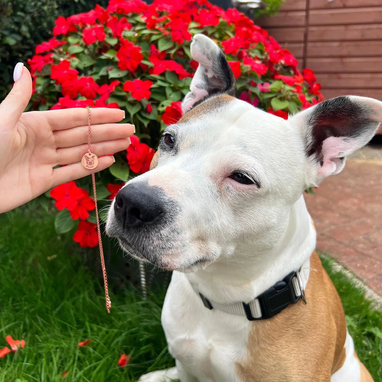Collar personalizado con rostro de mascota